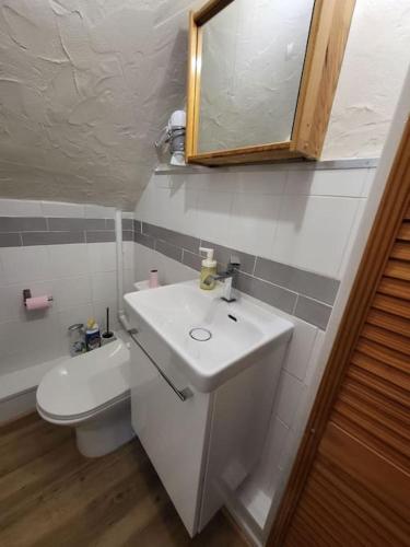 een badkamer met een toilet, een wastafel en een spiegel bij Charmant appartement au cœur du quartier St-Pierre in Amiens