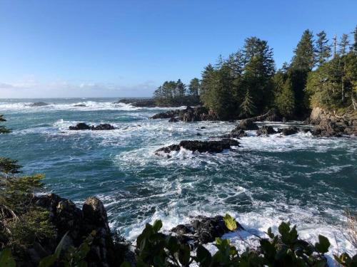 a view of a river with rocks and trees at Salal Suite Ukee in Ucluelet