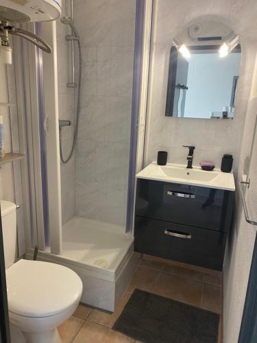 ル・バルカレスにあるAppartement en bord d'étangの洗面台、シャワー、トイレ付きのバスルーム
