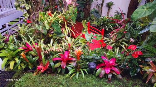 a garden with colorful flowers and plants next to a bench at Paradise Cottage at Anthurium Hale in Hilo