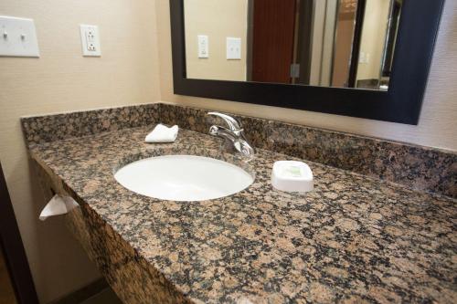 Bilik mandi di Drury Inn & Suites Springfield MO