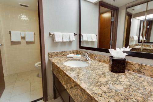Drury Inn & Suites San Antonio Northeast في سان انطونيو: حمام مع حوض ومرآة ومرحاض