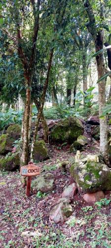 Cabaña Guabiroba – Photos 5