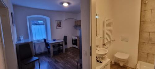 een kleine badkamer met een wastafel en een toilet bij Arzberger MonteurApartment in Arzberg