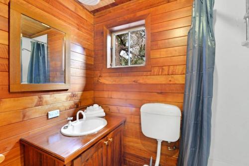 a bathroom with a sink and a mirror at Mt Elephant Forrest Cabin 