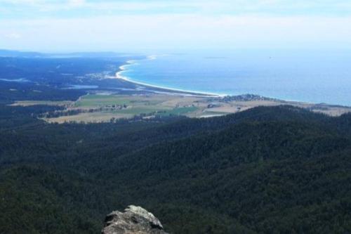 an aerial view of the ocean and a beach at Mt Elephant Forrest Cabin in Gray