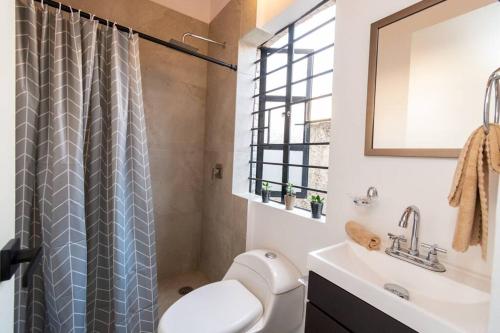a bathroom with a sink and a toilet and a shower at Encantadora Suite con Roof Garden en Roma Nte. in Mexico City