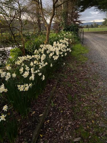 Gallery image of Holly Lane Mews in Yarra Glen