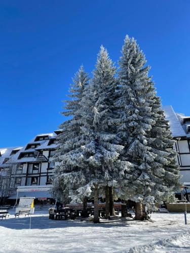 two trees covered in snow in front of a building at Apartments Konaci Kopaonik in Kopaonik