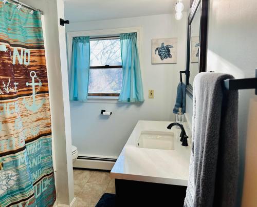 een badkamer met een wastafel en een raam bij Spacious Country Home, Hot Tub, Fire Pit, Deck 