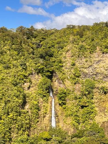 a waterfall on the side of a mountain with trees at Boho by Arte Hostal Boquete in Bajo Boquete