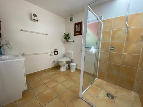 a bathroom with a shower and a toilet at 16 Oregon Heights in Hanmer Springs