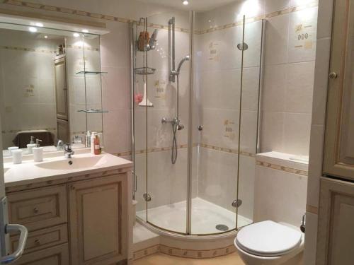 ein Bad mit einer Dusche, einem WC und einem Waschbecken in der Unterkunft Maison Les Issambres, 3 pièces, 4 personnes - FR-1-768-9 in Les Issambres