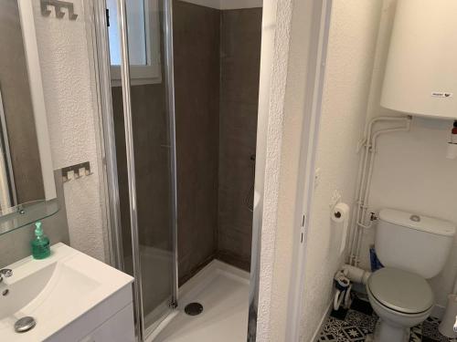 une salle de bain avec une douche, des toilettes et un lavabo dans l'établissement Appartement T2 proche mer avec piscine et parking - FR-1-768-23, aux Issambres