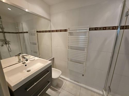 une salle de bain avec toilettes, lavabo et douche dans l'établissement T2 standing, piscine, clim, proche plage, parking, animaux OK - FR-1-768-47, aux Issambres