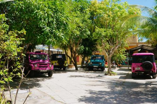 a group of pink trucks parked next to trees at Hoang Nga Garden Guesthouse in Mui Ne