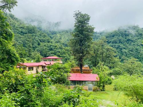 a house with a tree on top of a mountain at Shiv Shakti Yogpeeth Cottages in Rishīkesh