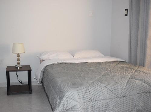 1 dormitorio con 1 cama y mesita de noche con lámpara en El Valle Lunahuaná, en Lunahuaná