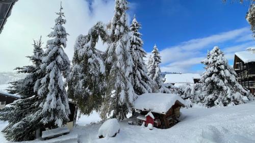 Photo de la galerie de l'établissement Appartements mitoyens aux SAISIES 14 PERSONNES, à Hauteluce