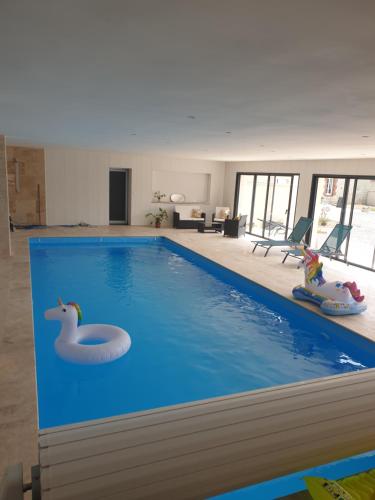 a large swimming pool with a rubber duck in a room at La Ferme de Barville & SPA in Écrammeville