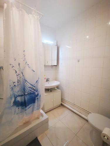 une salle de bain avec toilettes et rideau de douche dans l'établissement Cosy studio pour deux personnes, à Vitry-sur-Seine