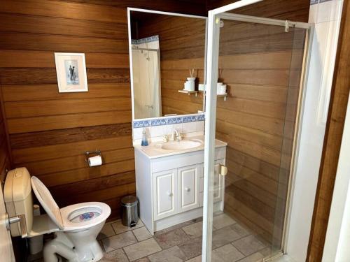 a bathroom with a toilet and a sink and a mirror at Relax, Resort Style in Rosebud