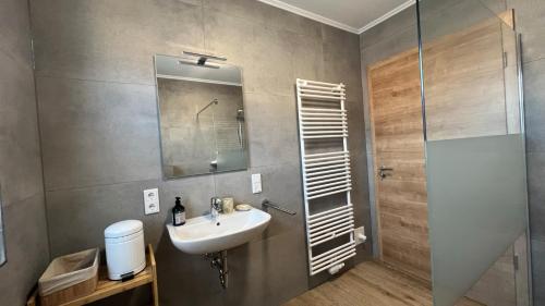 a bathroom with a sink and a mirror and a shower at Bella Vista - a76204 in Walchum
