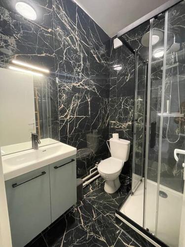une salle de bain avec toilettes et douche en verre dans l'établissement Appartement entre la gare St Charles et Vieux port, à Marseille