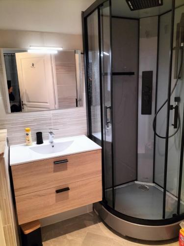 une salle de bain avec un lavabo et une douche dans l'établissement Maison camargaise, à Gallargues-le-Montueux