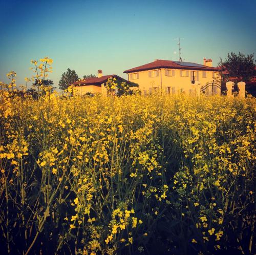 a field of yellow flowers in front of a building at Country house 15km from Bologna in Budrio