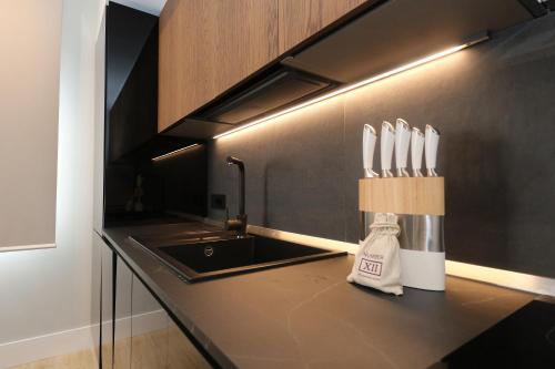 a kitchen counter with a knife block next to a sink at Garibaldi Suite 2 Renovated 1BR with Parking, Old Town Olbia in Olbia