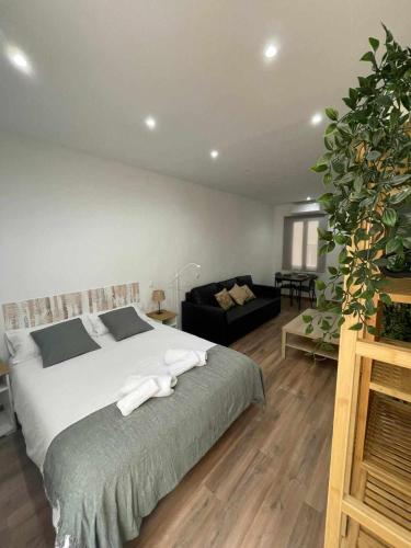 Estudio Retiro-Ibiza II