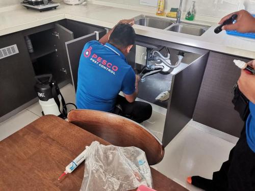 a man repairing a sink in a kitchen at DangaBay in CountryGarden - Fantastic2 #Cowidea in Johor Bahru
