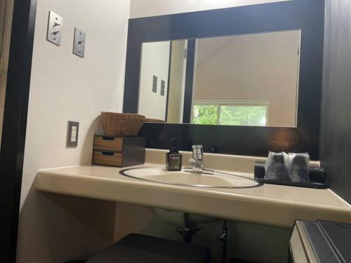 a bathroom with a sink and a mirror at ユニテ蔵王ジョーニダ リゾート in Yamagata
