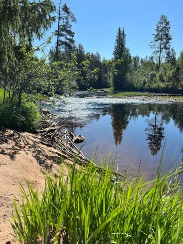 a body of water with some grass and trees at Skogly - Ny stor hytte, Unike Finnskogen in Torsby