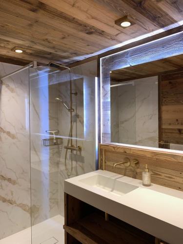 a bathroom with a sink and a shower at Bas de châlet Noémaé in Eyne