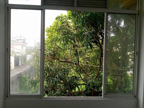 a window with a view of a tree at Full Large room in Colombo