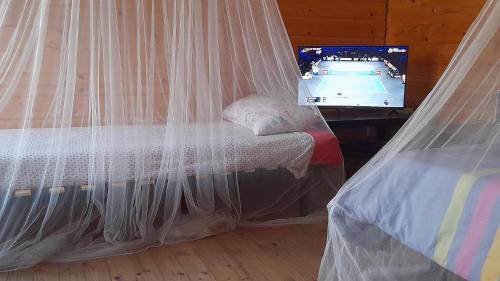 Ένα ή περισσότερα κρεβάτια σε δωμάτιο στο Coruña Backpackers Hostel