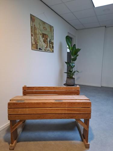 a wooden bench in a room with a potted plant at B&B de Wilhelminaschool in Aalten