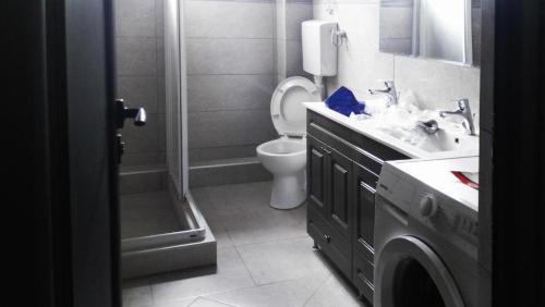 ein Bad mit einem WC, einem Waschbecken und einer Dusche in der Unterkunft Green Peace Apartman 1 in Kragujevac