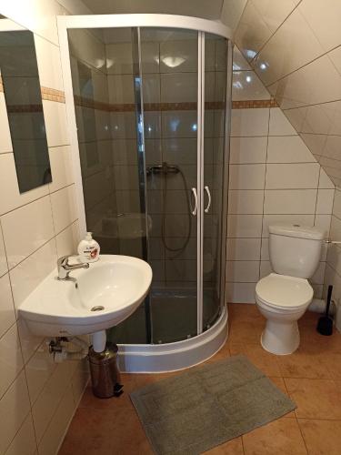 a bathroom with a shower and a sink and a toilet at Chata Dáša in Kořenov