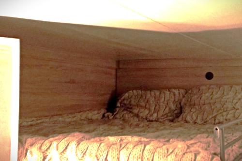 een bed in een kamer met een houten muur bij Studio fonctionnel et cosy in Gentilly
