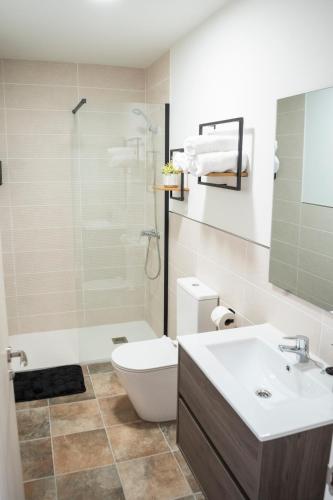 a bathroom with a toilet and a sink and a shower at El Rincón de Alquézar in Alquézar