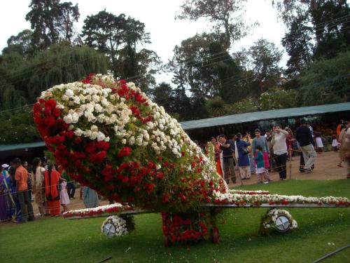 a large flower arrangement in the shape of a cow at Hotel Sri Balaji in Ooty