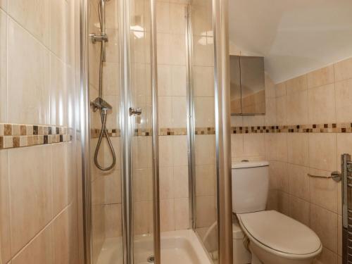 a bathroom with a toilet and a shower at Seacroft in Newquay