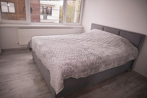 a bedroom with a bed with a comforter and a window at Bright and cosy apartment nr 3 in Chişinău