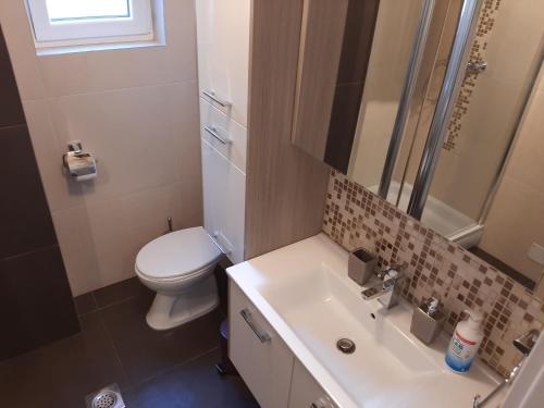 a bathroom with a white toilet and a sink at Apartments Pavelic in Povile