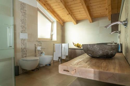 a bathroom with a large sink and a toilet at Villa Floris in Castello Tesino