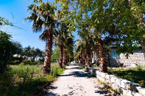 un sentiero fiancheggiato da palme accanto a una casa di Deydaa Ekoloji Kampı a Gerze