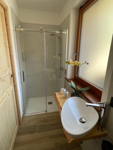 uma casa de banho com um chuveiro e um lavatório branco em AFFITTACAMERE ALLE ALPI em Malborghetto Valbruna